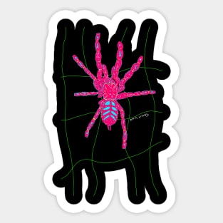 Venezuelan Sun Tiger Psalmopoeus irminia Sticker